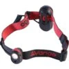 Vango Flux Head Torch -Vango Vango Flux Head Torch